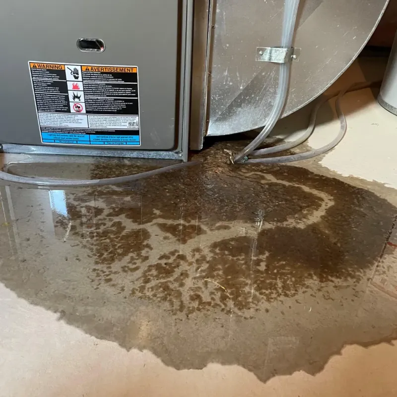 Appliance Leak Cleanup in Metairie Terrace, LA